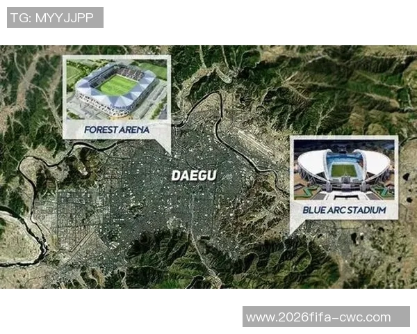 足球场的价钱影响因素及其对球迷和俱乐部的经济影响分析 足球场的价钱影响因素及其对球迷和俱乐部的经济影响分析